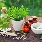 Evaluation of the effect of extracts of several medicinal plants