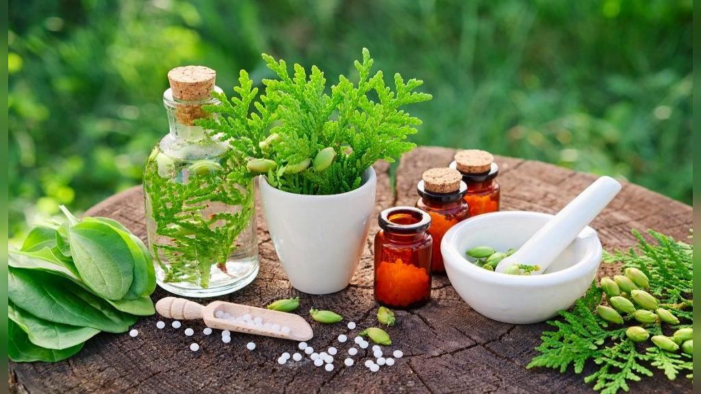 Evaluation of the effect of extracts of several medicinal plants